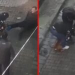 pitbullun-isirdigi-genc-kopegin-agizindan-zahmetle-kurtarildi-2zys9YPj.jpg