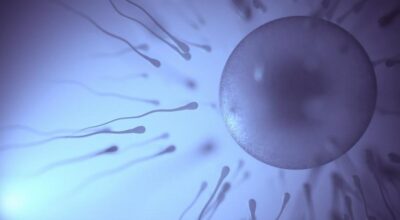 sperm-kalitesini-artiran-en-yeterli-5-besin-kumesi-66jx3Cm1.jpg