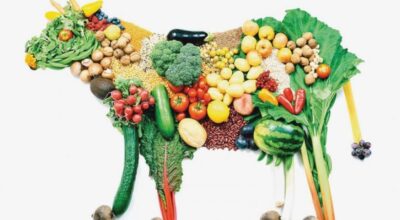 vegan-beslenmesine-besleniyoruz-da-acaba-dogru-mu-yapiyoruz-qLGPaOUF.jpg