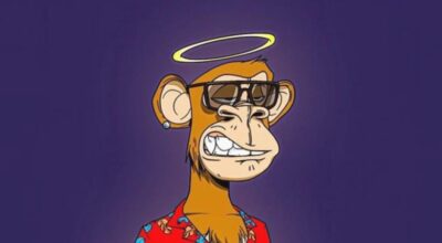bored-ape-yacht-clubin-discord-sunucusu-hacklendi-uAftbna6.jpg