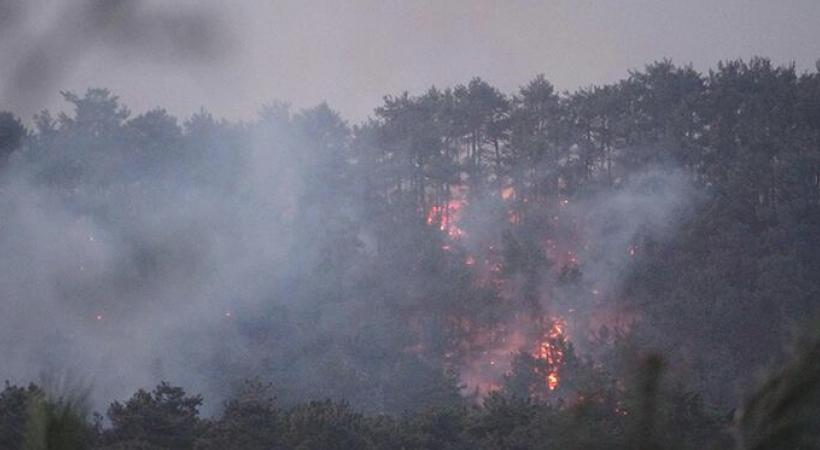 Çanakkale'de orman yangını! Söndürme çalışmaları sürüyor