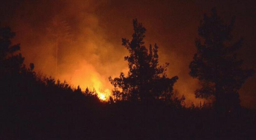 Çanakkale'de orman yangını! Vali açıklama yaptı