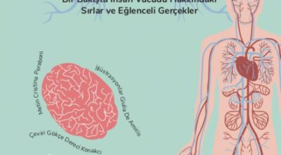 cristina-peraboni-insan-vucudu-kitabi-ile-insan-vucudunun-sirlarini-anlatiyor-8eFdUHxG.jpg
